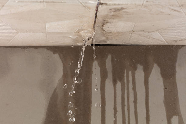 Professional Structural Drying technician working in Edmondson, AR